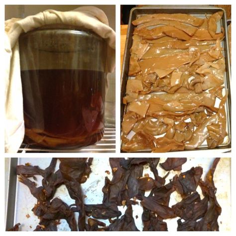 Probiotic Food, Kombucha Scoby, Kombucha Recipe, Probiotic Drinks, Clean Plates, Probiotic Foods, Vegan Foods, Guest Post, Guest Posting