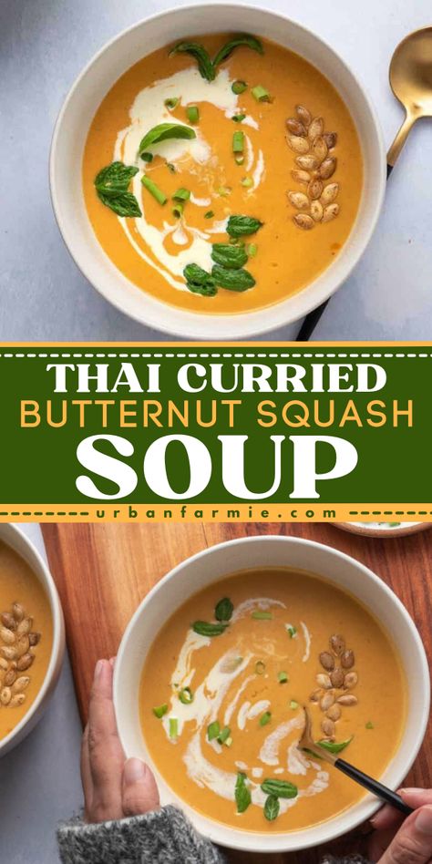 Here's an easy soup idea just right for the Fall weather! This Thia Curried Butternut Squash Soup recipe is a creamy and vegan soup with coconut milk topped with scallions and roasted squash seeds. Serve a hearty bowl of soup for a fall comfort food dinner! Red Curry Butternut Squash Soup, Thai Curry Squash Soup, Roasted Squash Soup Coconut Milk, Coconut Curry Butternut Soup, Thai Coconut Curry Butternut Squash Soup, Butternut Squash Curry Soup Recipes, Butternut Squash Thai Soup, Squash Coconut Milk Soup, Butternut Squash Soup Crockpot Coconut Milk