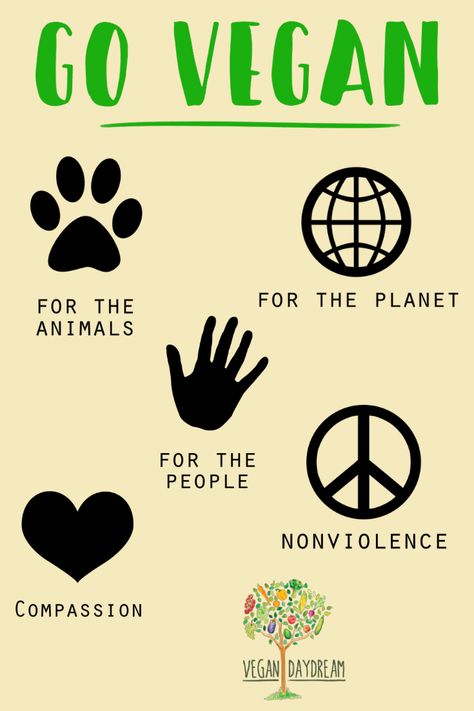 There are many reasons that people go vegan. Vegan for the animals, vegan for the planet, vegan for the people, or vegan for health. What ever the reason it makes the world a better place.  #vegan #govegan #plantbased Vegan Lifestyle Inspiration, Vegan For The Animals, Dairy Free Chocolate Cake, Vegan Coleslaw, Vegan Bolognese, Environmentally Friendly Living, Vegan Quotes, Vegan Inspiration, Vegan Pancakes