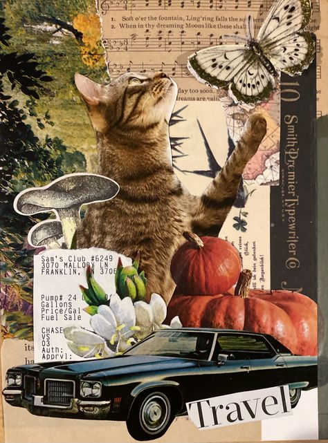 Collages Made From Magazines, Magazine Collage Inspiration, Collage Pages Art Journaling, Magazine Collage Art Ideas, Pet Collage Ideas, Collage Art Magazine Ideas, Magazine Theme Ideas, Collage Ideas Projects, Magazine Collage Diy