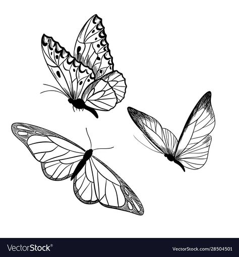 Tattoo Care Instructions, Three Butterflies, Butterfly Sketch, Realistic Temporary Tattoos, Party Tattoos, Custom Temporary Tattoos, Tattoo Care, Butterfly Drawing, Friend Tattoos