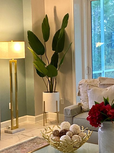 Flower Pots Living Room Ideas, Plant Decor Living Room Luxury, Home Decor Plants Living Rooms, Big Vases Decor Living Room, Plants Corner, Plants For Living Room, Vases Decor Living Room, Living Room Flowers, Decoration With Plants