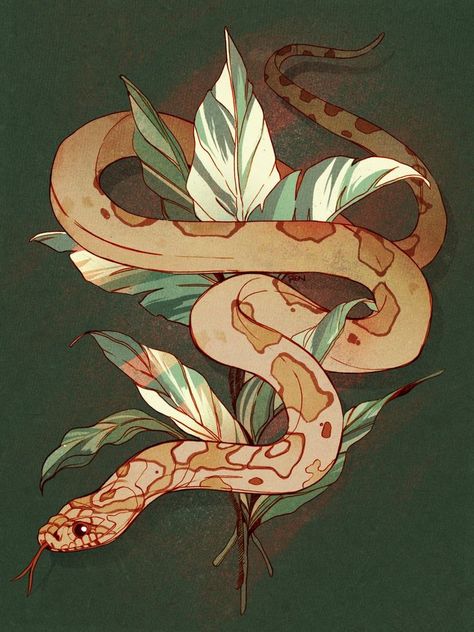 Two Snakes Drawing, Colorful Snake Drawing, Snake Illustration Tattoo, Snake Aesthetic Drawing, Snake Illustration Art, Corn Snake Tattoo, Snake Drawing Sketches, Cute Snake Art, Cute Snake Drawing