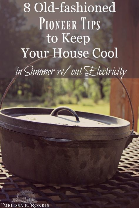 Iron Skillet, In Summer, Skillet, Stove, Cast Iron, Electricity