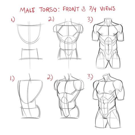 Kyle Petchock (@k_petchock_art) • Fotos e vídeos do Instagram How To Draw Male Torso Step By Step, Back References Male Drawing, Male Torso Drawing Tutorials, Anatomy Reference Torso, Anatomy Torso Reference, Male Torso Drawing Reference, Human Anatomy Art Artworks, How To Draw Male Bodies Anatomy, Male Torso Tutorial