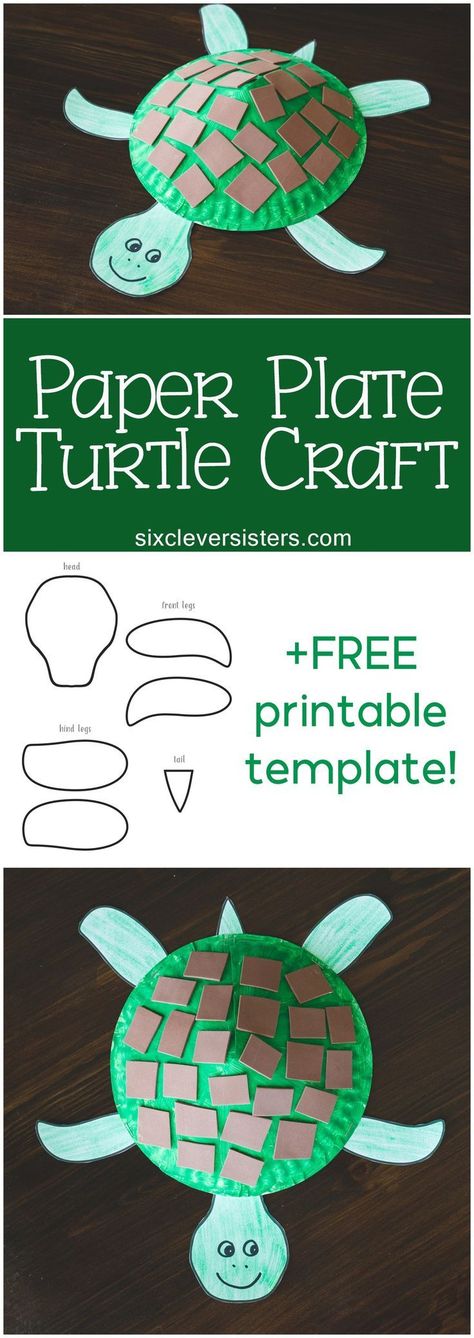 Paper Plate Turtle Craft Paper Plate Turtle, Paper Plate Art, Turtle Craft, Paper Plate Craft, Turtle Crafts, Paper Plate Crafts For Kids, Mothers Day Crafts For Kids, Paper Plate Crafts, Daycare Crafts