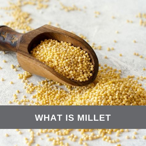 What is Millet Grain, Pitimi, or Petit Mil | https://www.caribbeangreenliving.com/pitimi-millet-or-petit-mil/ What Is Millet, Substitute For Rice, Jujube Fruit, Tea For Digestion, Herbal Tonic, Vegetable Shop, English Breakfast Tea, Ancient Grains, Clean Cooking