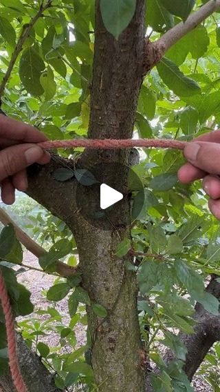 @technogadgets_360 on Instagram: "Farming techniques tools machine and gadgets . . . . . . #bigfarm #megafarmers #farminggadgets #innovation #innovativedesign #farminginspiration #farmingtools #farmingrevolution #tools #gadgets #farming" How To Tie Knots, Simpul Dasi, Camping Knots, Survival Knots, Knots Guide, Farming Techniques, Seni Dan Kraf, Knots Diy, Knots Tutorial