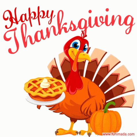 Happy Thanksgiving Funny, Happy Thanksgiving Wallpaper, Happy Thanksgiving Pictures, Happy Thanksgiving Images, Happy Thanksgiving Turkey, Thanksgiving Pictures, Thanksgiving Blessings, Thanksgiving Wishes, Happy Turkey Day