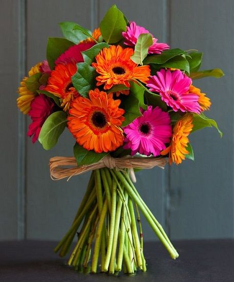 Gerbera Flower Bouquet Design Gerbera Bouquet, Luxury Flower Bouquets, Gerbera Flower, Gerbera Daisies, Flower Arrangements Simple, Prom Flowers, Colorful Bouquet, Fresh Flowers Arrangements, Bouquet Design