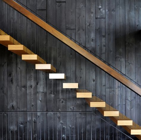 Kardokus Residence | Urbanadd | Archinect Exterior Stairs, Seattle Homes, Stairs Architecture, Charred Wood, Stair Case, Sugi Ban, Shou Sugi Ban, Timber Cladding, Stair Steps