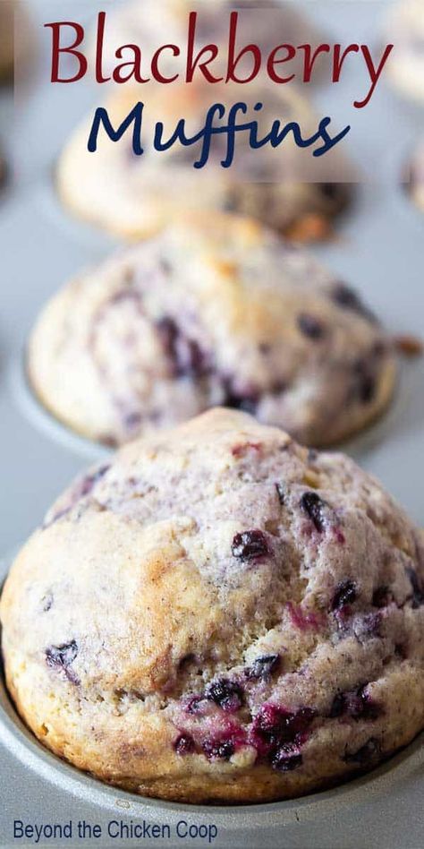 Jumbo Blackberry Muffins, Fresh Blackberry Recipes Easy, Blackberry Bread Recipe, Easy Blackberry Dessert, Blackberry Oatmeal Muffins, Marionberry Muffins, Blackberry Breakfast Recipes, Unique Muffins, Frozen Blackberry Recipes