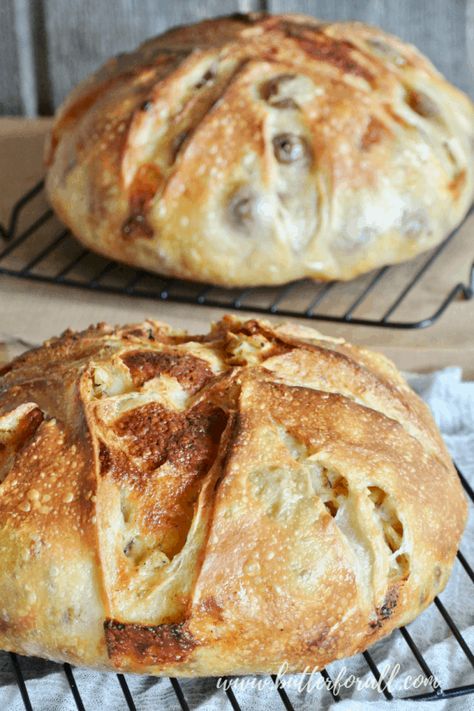 Pane Dolce, Olive Bread, Jo Cooks, A Loaf Of Bread, Gluten Free Sourdough, Artisan Bread Recipes, Seed Bread, Sourdough Bread Recipe, Loaf Of Bread