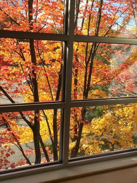 Fall Through Window, Autumn Through The Window, Autumn Window Illustration, Golden Hour Through Window, Sunrise Aesthetic Window, Painted Window Art, Fall Windows, Fake Window, Mulberry Leaf