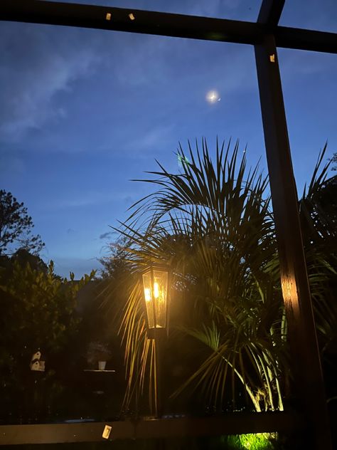 #nighttime #garden #night #greenery #sky Nighttime Garden, Garden Night, Night Garden, Night Time