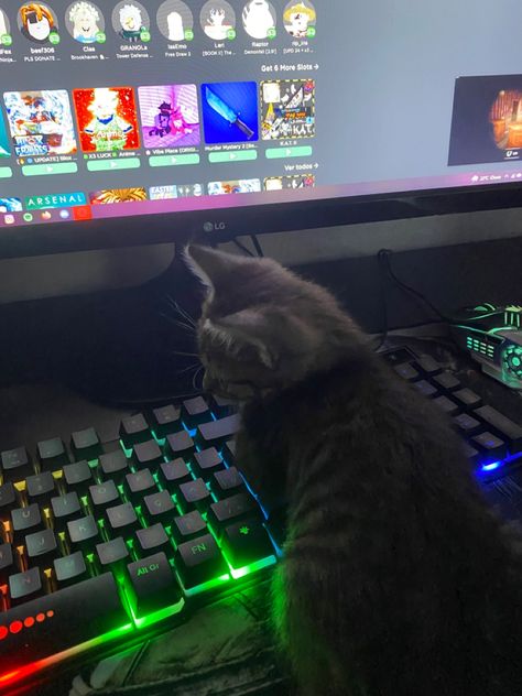 No Profile Picture Aesthetic, Gamer Cat, Red Quotes, Creative Origami, Boyfriend Pranks Pictures, People Come And Go, Gamers Anime, Video Game Rooms, Cool Boy Image