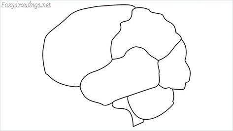 How to draw a brain step by step - Easy drawings How To Draw A Brain, Brain Drawing Simple, Draw A Brain, Brain Drawings, Brain Diagram, Brain Drawing, Notes Inspo, Beginner Sketches, Simple Drawings