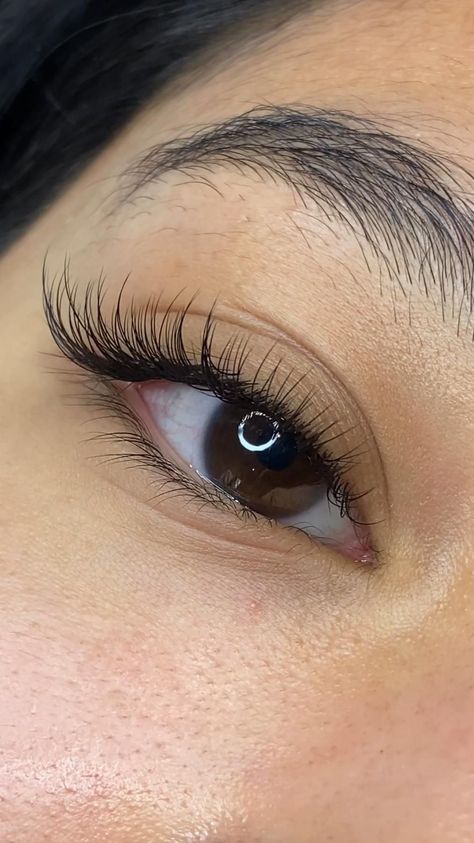 Eyelash Extension Styles, Extension Styles, Eyelash Lift And Tint, Natural Fake Eyelashes, Classic Lashes, Lashes Fake Eyelashes, Lashes Extensions, Lash Extensions Styles, Eyelash Extensions Styles