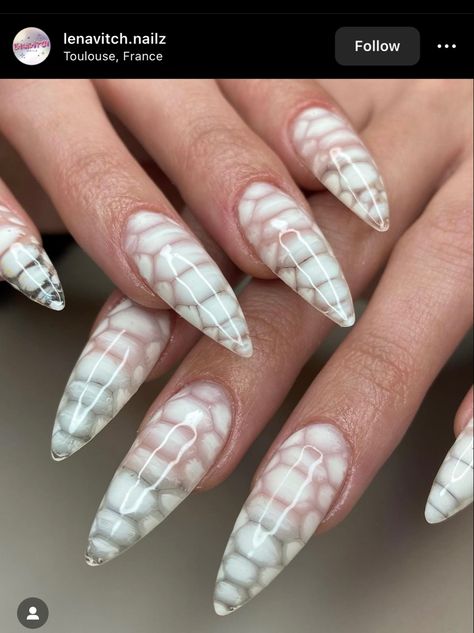 Nail Designs Crocodile, White Crocodile Nails, Crocodile Nails, Stiletto Nail Designs, Nails Designs Ideas, Acrylic Manicure, Pointy Nails, Ombre Nails Glitter, Nails Arts