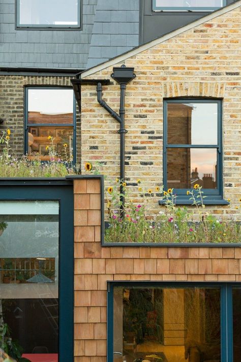 Victorian House Renovated in South London for a Young Family Conservatories Ideas, Sedum Roof, Flat Roof Extension, Urban Housing, Housing Ideas, Side Return, Roof Extension, Living Roofs, Extension Designs