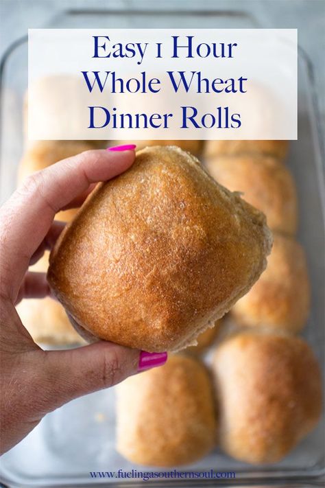 1 Hour Wheat Dinner Rolls are a quick way to get homemade dinner rolls on the table in 1 hour. Soft and fluffy, you're going to love these wheat dinner rolls! Dinner Rolls Recipe Homemade, Wheat Dinner Rolls, Wheat Rolls, Quick Dinner Rolls, Whole Wheat Rolls, Yeast Rolls Recipe, Frozen Dinner Rolls, Wheat Recipes, Artisan Bread Recipes