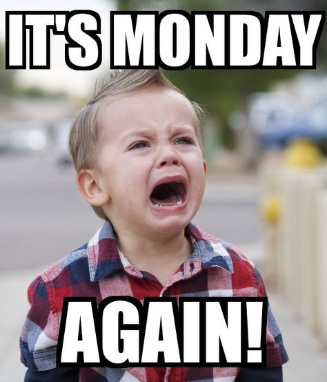 Hilarious Monday Memes to Get You Through the Week Funny Sunday, Funny Monday Memes, Montag Motivation, Sunday Humor, Monday Humor Quotes, Happy Memes, Tomorrow Is Monday, Morning Memes, Monday Memes