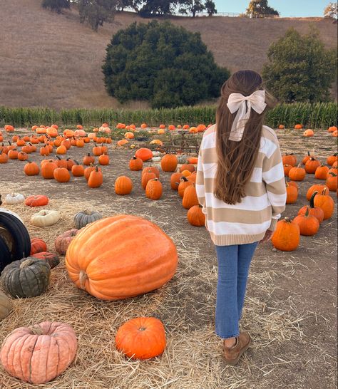 Preppy Brunette Pfp, Fall Pfp Preppy, Fall Profile Pictures Aesthetic, Preppy Fall Pfp, Aesthetic Fall Pfp, Fall Aesthetic Pfp, Fall Pfp Aesthetic, Fall Profile Pictures, Fall Profile