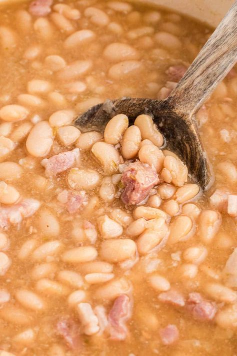 Close up of great northern beans on a spoon. Smoked Ham And Beans, Ham And Beans Stovetop Dry Beans, Northern Beans And Ham Stovetop, Beans And Turkey Necks, Slow Cooker Ham And Beans, Canning Beans Recipes, Northern Bean Soup With Ham, Ham And Northern Beans, Great Northern Beans Recipe Stove Top