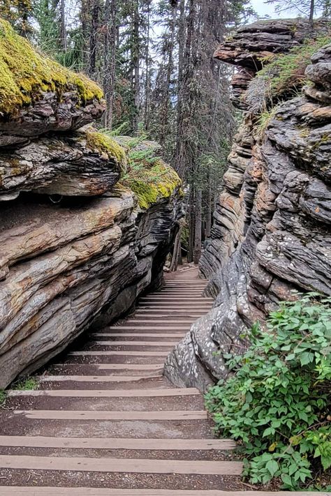 Banff To Jasper Drive - 20 Best Stops On The Way - Forever Karen Nature, Pakistan Country, Travel Careers, Jasper National Park, Green Country, List Of Countries, Countries To Visit, Cool Countries, Best Hikes