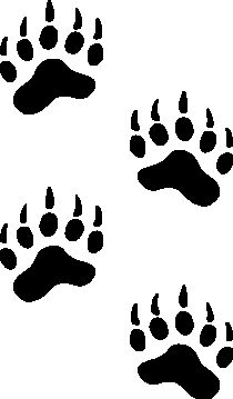 Bear Tracks Bear Track Tattoo, Indian Tattoos, Bear Ideas, Bear Tracks, Bear Paw Print, Bear Tattoos, Indian Tattoo, Bear Paw, Paw Patrol Birthday