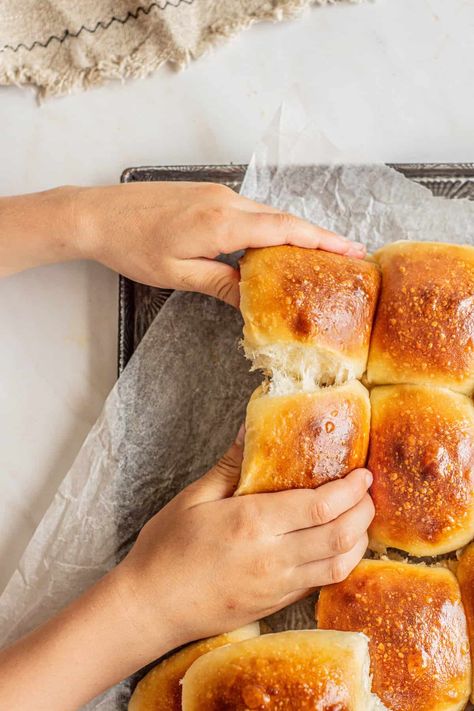 Soft Sourdough Dinner Rolls Recipe - Home Grown Happiness Sourdough Dinner Rolls Farmhouse On Boone, Honey Butter Sourdough Rolls, Sourdough Dinner Roll Recipes, Milk And Pop Sourdough Rolls, Parker House Rolls Made With Sourdough, Sourdough Soft Dinner Rolls, Sourdough Rolls For Thanksgiving, Sourdough Dinner Rolls Overnight, Country Roads Sourdough Dinner Rolls