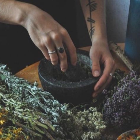 I going lavender and dried roses, this way I can put bags of it in my closet, it soothes me and it smells good. 🌸💜🌹 Tell me in comments what's your favorite herbal blend ? 😍 . . . #herbal #witchcraft #witchy #witchery #witch #witches #witchaesthetic #witching #witchytips #greenwitchcraft #witchtips #witchspells #witchlifestyle #modernwitch #lavender #witchesofinstagram Herbs Witch, Mikaelson Aesthetic, Freya Mikaelson, The Mikaelsons, Green Witchcraft, W.i.t.c.h Aesthetic, Magic Witch, Modern Witch, Season Of The Witch