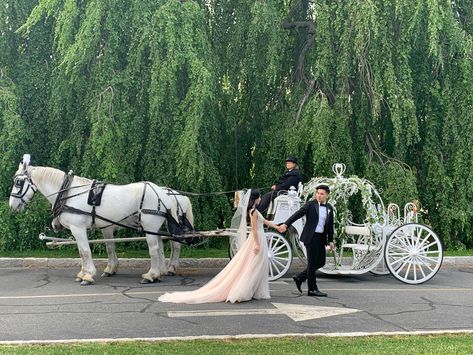 Wedding Carriage, Wedding Entrance Ideas, Horse And Carriage Wedding, Shrek Wedding, Horse Wedding, Cinderella Carriage, Dream Wedding Decorations, Entrance Ideas, Extravagant Wedding