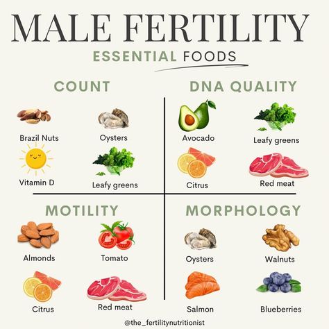 Male Fertility Boost, Hormone Nutrition, Healthy Pregnancy Diet, Fertility Nutrition, Sperm Health, Fertility Foods, Healthy Pregnancy Tips, Fertility Health, Improve Fertility