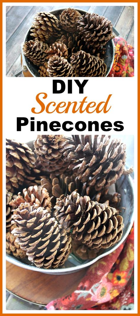 Natal, Diy Scented Pinecones, Pinecones Decor, Wardrobe Freshener, Pinecone Ideas, Scented Pinecones, Homemade Air Freshener, Pinecone Crafts, Diy Scent