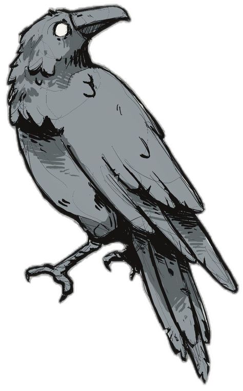 Crow Art Reference, Bird Skull Sketch, Crow Holding Something, Cartoon Crow Tattoo, How To Draw A Crow Step By Step, Bird Mask Drawing, Scary Bird Drawing, Drawings Of Ravens, Raven Fursona