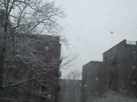 Nature Aesthetic Gif, Snow Banner Gif, Snow Gif Banner, City Banner Gif Discord, Snow Gif Header, Snowy Gothic Aesthetic, Creepy Snow Aesthetic, Winter Gif, Snow Gif