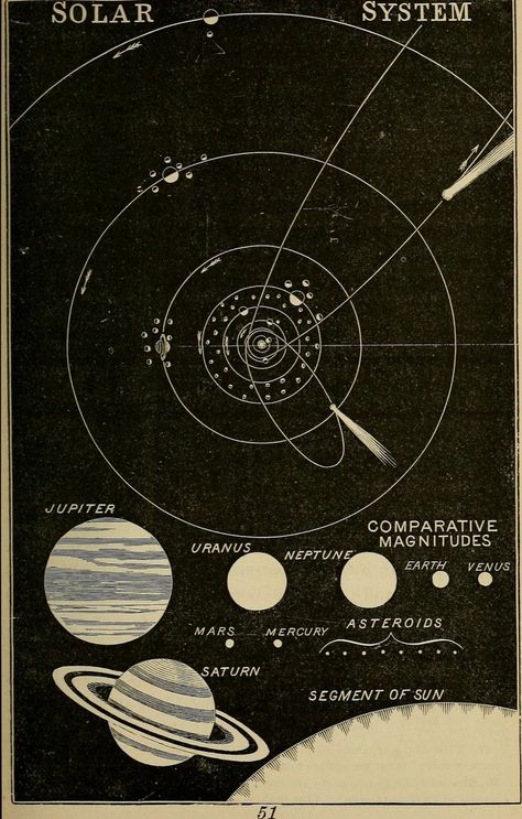 Vintage Astronomy Prints, متحف فني, Botanisk Illustration, Sistem Solar, Istoria Artei, Seni Vintage, Astronomy Art, Sarung Telefon, Branding Inspo