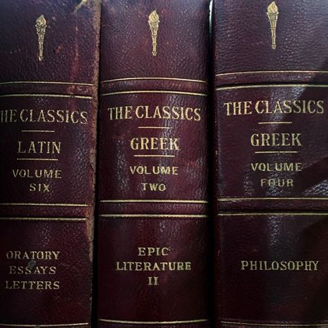 The Secret History Aesthetic, Gothic Academia, Henry Winter, Classic Academia, A Night At The Opera, Chaotic Academia, Donna Tartt, Secret Society, Dark Academia Aesthetic