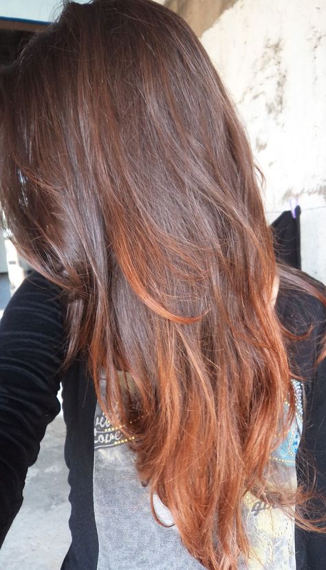 orange ombrhair brown to red Orange Hair Dye On Brown Hair, Light Brown To Red Ombre, Copper Tips On Brown Hair, Ombre Hair Orange, Copper Ends Hair, Orange Hair With Red Tips, Faded Orange Hair, Brown Orange Ombre Hair, Brown Hair With Orange Tips