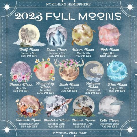 Mystical Moon Tarot (@mysticalmoontarot) • Instagram photos and videos Full Moon Names, Full Moon Spells, Moon Hunters, Moon Facts, May Full Moon, Moon Chart, Moon Date, Moon Names, Cold Moon