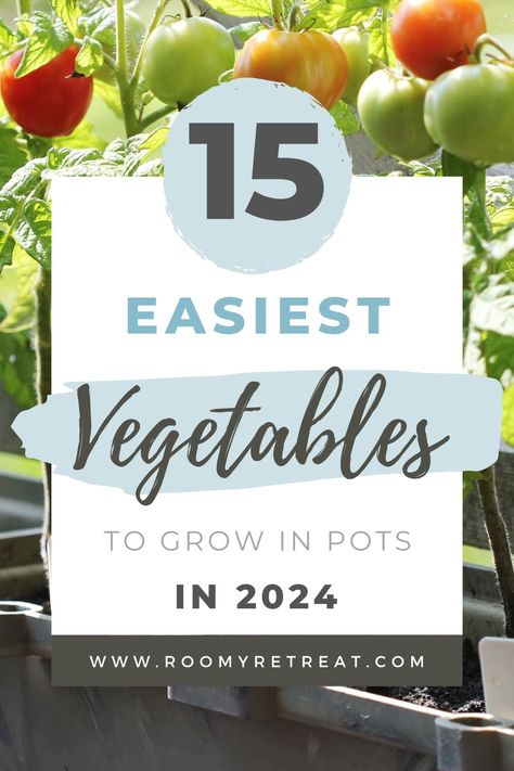 Easy Vegetables to Grow in Pots: A Guide to Container Gardening Success Growing Vegetables In Pots, Small Vegetable Gardens, Easy Vegetables To Grow, Container Vegetables, Growing Veggies, Porch Garden, Bountiful Harvest, Container Gardening Vegetables, Summer Vegetable