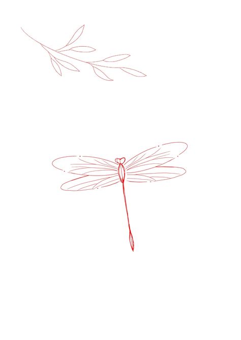 Dragonfly Red Tattoo, Fine Line Dragon Fly Tattoos, Dragon Fly Tattoo Fine Line, Red Dragon Fly Tattoo, Dragonfly Tattoo Leg, Dragonfly Tattoo Minimalist, Red Dragonfly Tattoo, Dragonfly Tattoo Simple, Dragonfly Tattoo Stencil