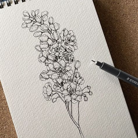 Delphinium Flower, Evil Eye Tattoo, Delphinium Flowers, Zodiac Elements, Drawing Supplies, Watercolor Art Lessons, Eye Tattoo, Black And White Drawing, Delphinium