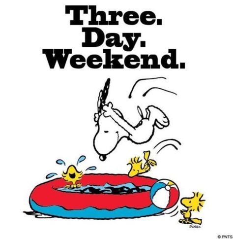 3 Day Weekend The Peanuts Movie, Peanuts Movie, Three Day Weekend, Weekend Quotes, Peanuts Cartoon, Weekend Humor, Snoopy Quotes, Snoopy Pictures, Snoop Dog