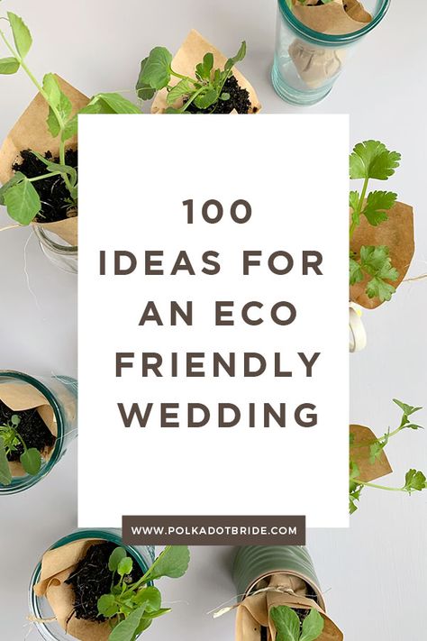 Eco Friendly Wedding Decor, Eco Friendly Wedding Invitations, Eco Friendly Wedding Favors, Ethical Wedding, Vegan Wedding, Eco Green, Eco Wedding, Sustainable Wedding, Eco Friendly Wedding