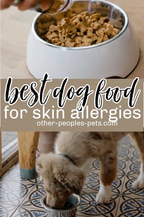 Dog Food For Skin Allergies, Dogs With Allergies, Dog Skin Allergies, Dogs Eating, Best Dry Dog Food, Dog Food Allergies, Hypoallergenic Dog Food, Make Dog Food, Coconut Oil For Dogs