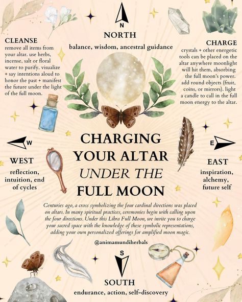 ANIMA MUNDI HERBALS | Spring is the perfect season to make room for magic + dispel any negative energies lingering in your life or home. 🌕 Full Moons are a… | Instagram Herbs For Full Moon, Libra Full Moon, Anima Mundi, Full Moon Ritual, Energy Healing Spirituality, Herbal Magic, Herbs For Health, Practical Magic, Ideas Garden