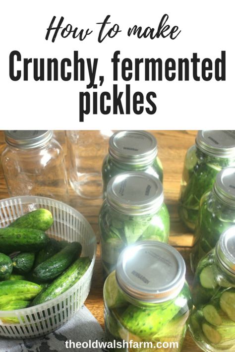 Fermented Pickles Recipe, Lacto Fermented Pickles, Garden Meals, Fermenting Recipes, Making Pickles, Fermented Recipes, Fermented Vegetables Recipes, Fermenting Foods, Pickled Foods