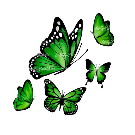 Mosaic Stepping Stone, Butterfly Png, Butterfly Art Painting, Butterflies Svg, Butterfly Drawing, Scrapbook Materials, Website Backgrounds, Green Butterfly, Butterfly Painting